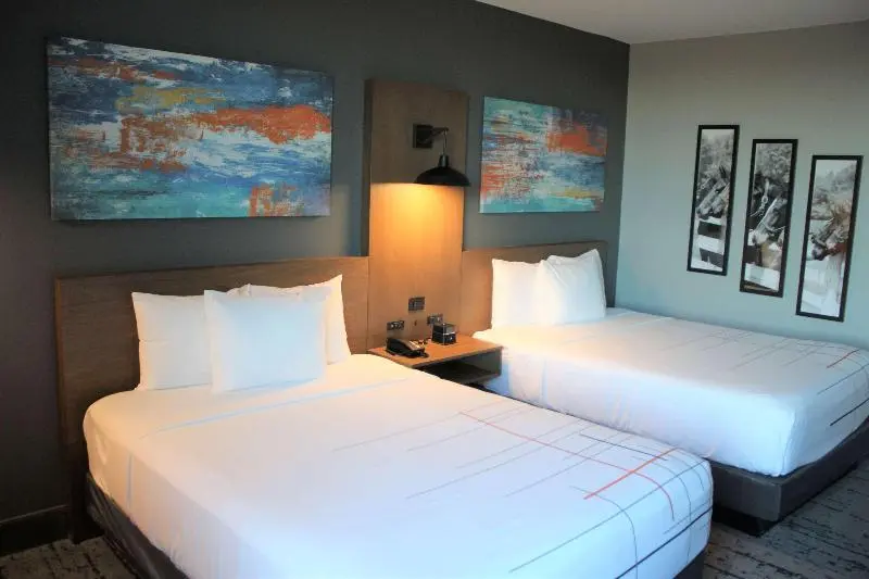 身障者適用スタンダードルーム, La Quinta Inn & Suites By Wyndham Bardstown