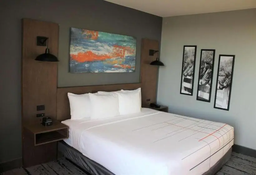 身障者適用キングサイズベッドルーム, La Quinta Inn & Suites By Wyndham Bardstown