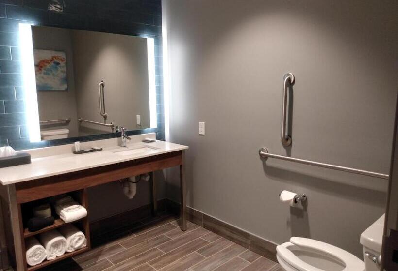 장애인을 위한 킹사이즈 침대 스탠다드 룸, La Quinta Inn & Suites By Wyndham Bardstown