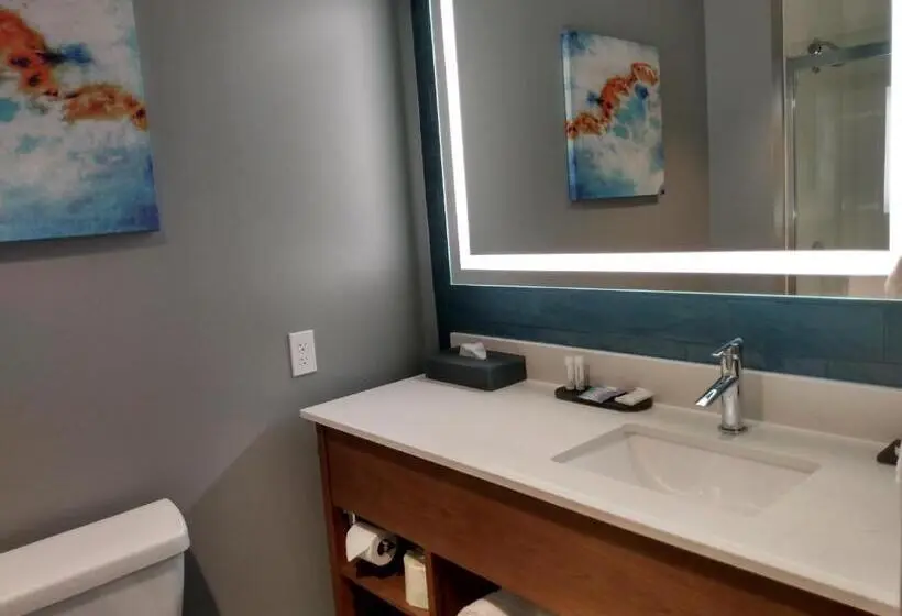キングサイズベッドのスタンダードルーム, La Quinta Inn & Suites By Wyndham Bardstown