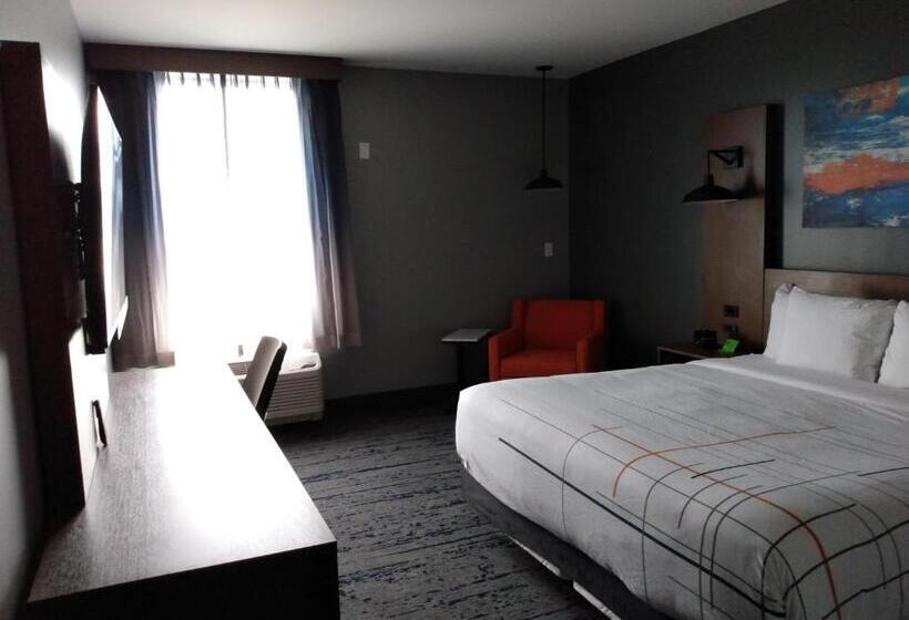 스탠다드 룸 킹사이즈 침대, La Quinta Inn & Suites By Wyndham Bardstown