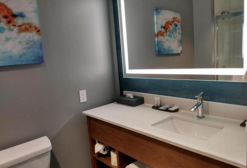 디럭스 스위트 킹 침대, La Quinta Inn & Suites By Wyndham Bardstown
