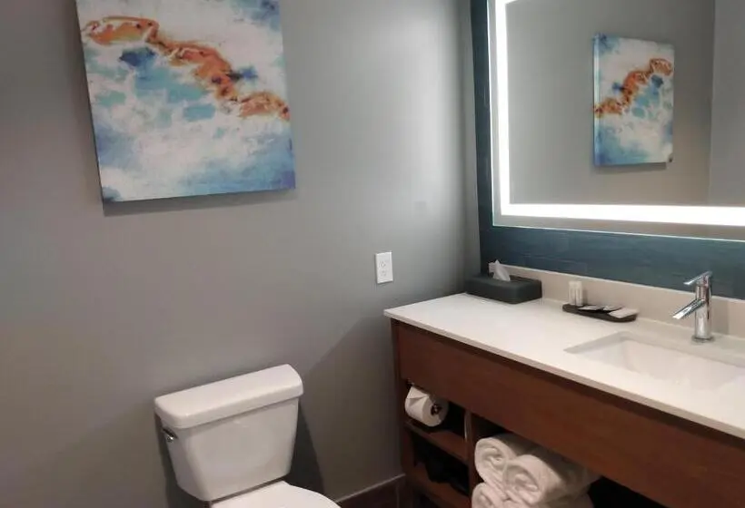 スタンダードルーム, La Quinta Inn & Suites By Wyndham Bardstown