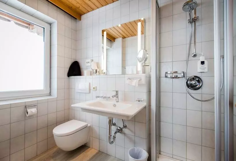 スタンダードルーム, Aparthotel Dorfplatzl Garni