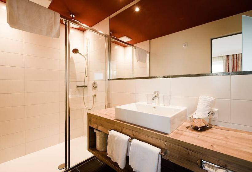 Апартаменты Deluxe 1 Спальня, Aparthotel Dorfplatzl Garni