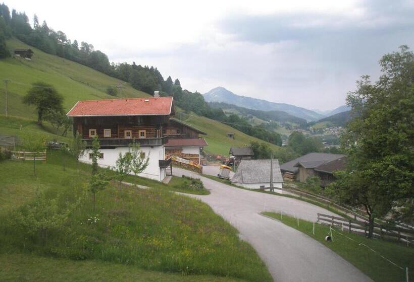 Номер Стандарт, Pension Anderla