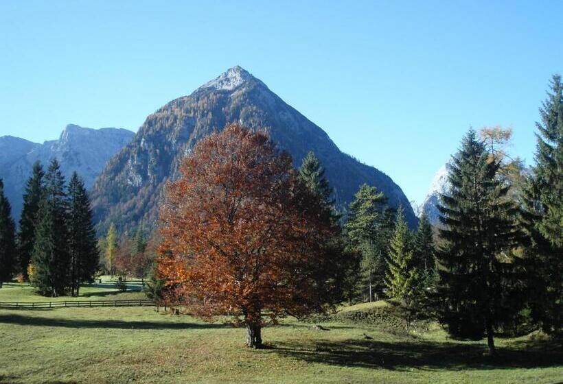 침실 2개 아파트, Bergheim