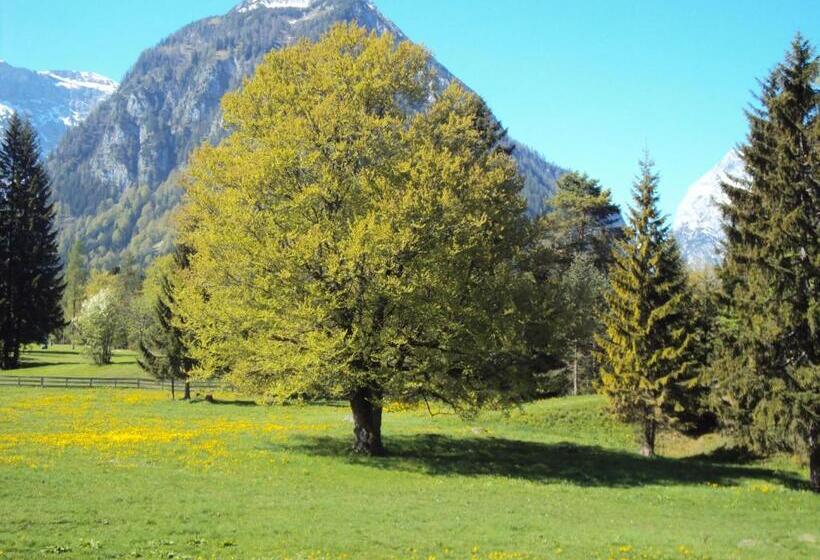 침실 2개 아파트, Bergheim