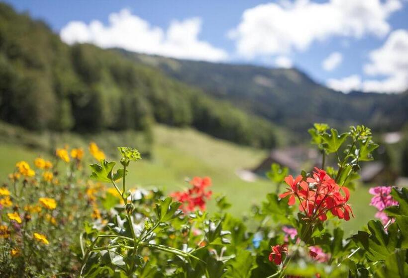 غرفة قياسية مطلّة علي الحديقة, Bio Bauernhof Vordergrubenbach   Familie Oberascher