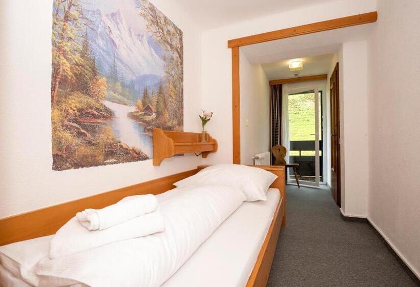 חדר סטנדרט יחיד, Alpen Arnika