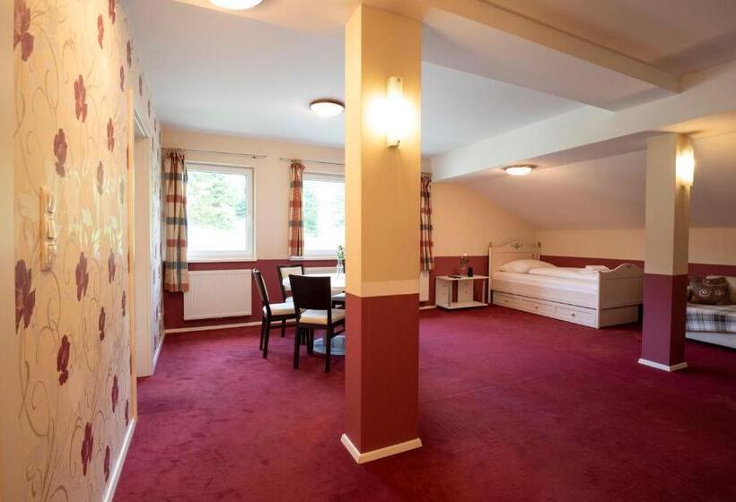 דירת חדר סופריור, Alpen Arnika