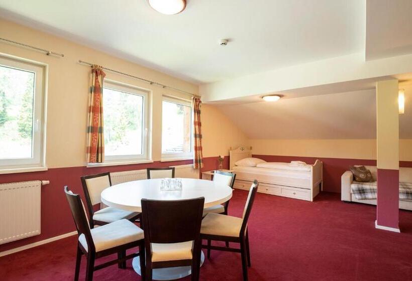 דירת חדר סופריור, Alpen Arnika