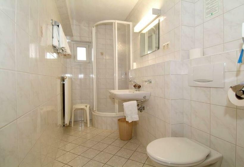 スタンダードシングルルーム, Alpina Regina