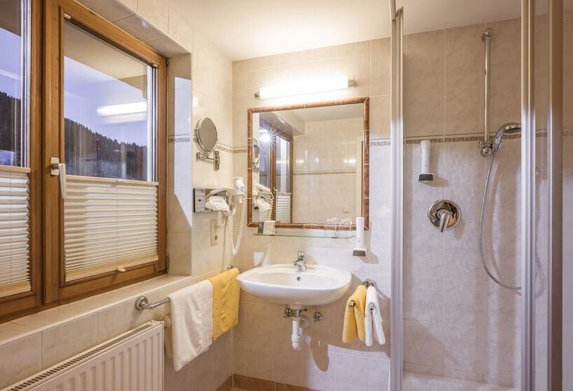 חדר סטנדרט עם נוף, Bichlingerhof