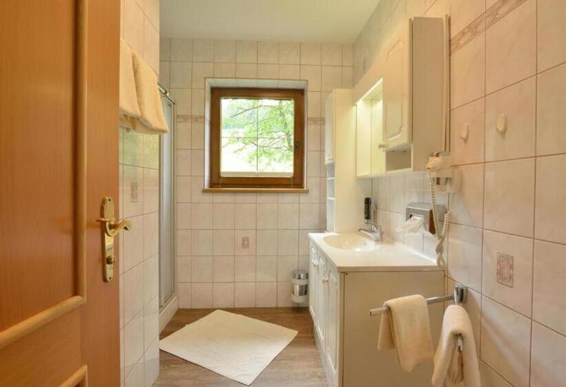 Апартаменты 2 Спальни, Landhotel Gressenbauer