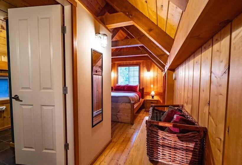 キャビン, The Cabins At Terrace Beach