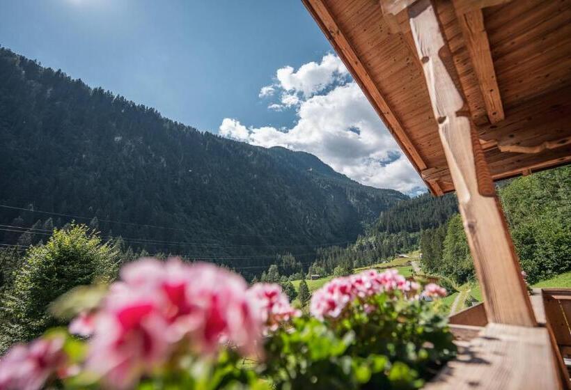 带1个卧室的公寓, Das Lindtal   Appartements