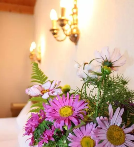 Standard Yhden Hengen Huone, Pension Aloisl`s Harmonie