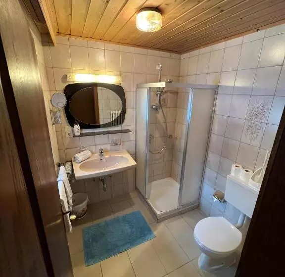 Standard-huone, Pension Aloisl`s Harmonie