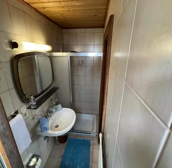 Standard-huone, Pension Aloisl`s Harmonie