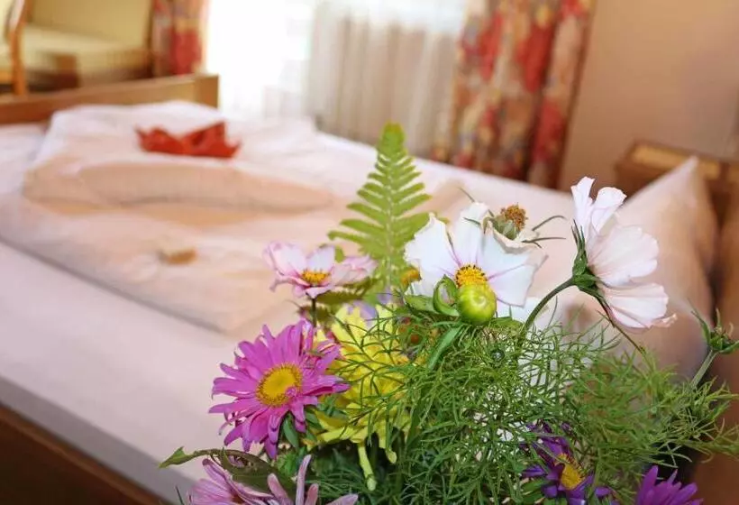 Standard Kolmen Hengen Huone, Pension Aloisl`s Harmonie