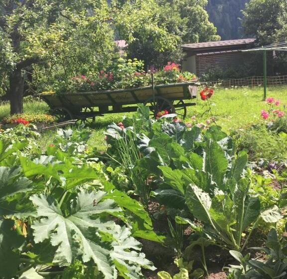 스탠다드 발코니 룸, Haus Stefan