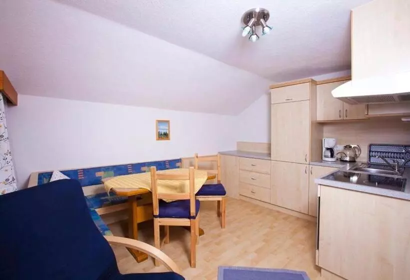 آپارتمان 1 خوابه با بالکن, Haus Stefan