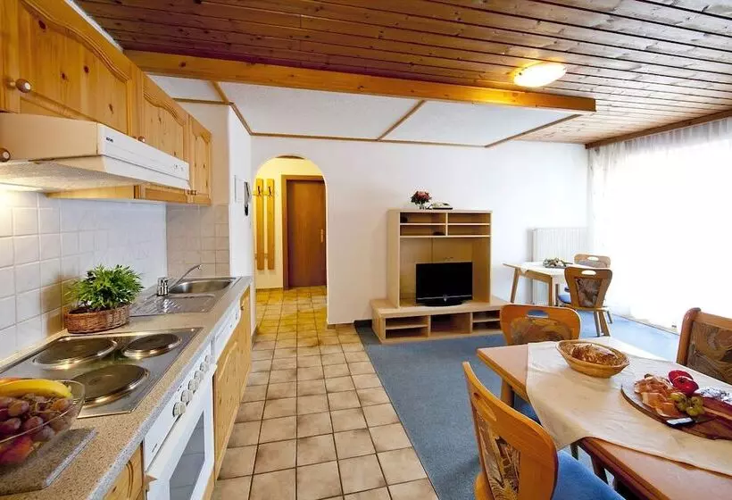 バルコニー付き１ベッドルームアパートメント, Apartment Brixental