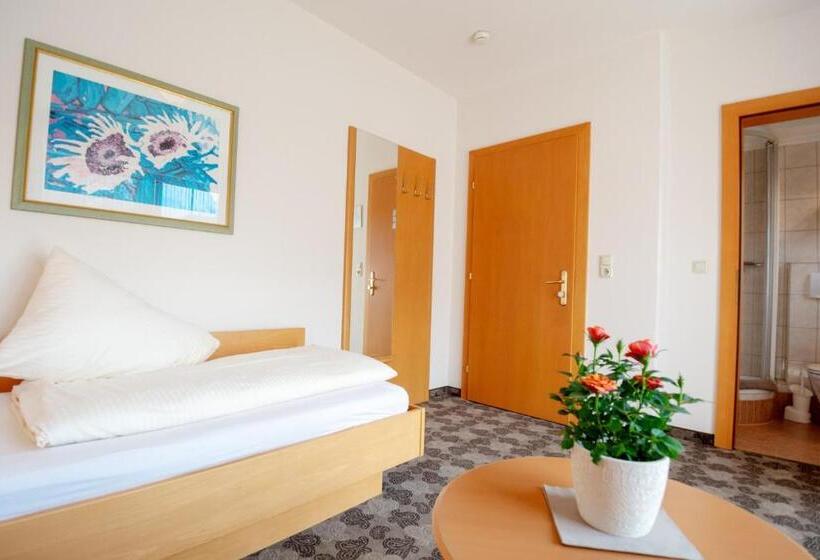 标准单人间, Stern