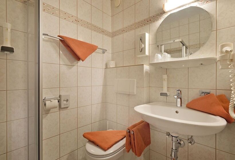 اتاق استاندارد یک نفره, Landhotel Lechner