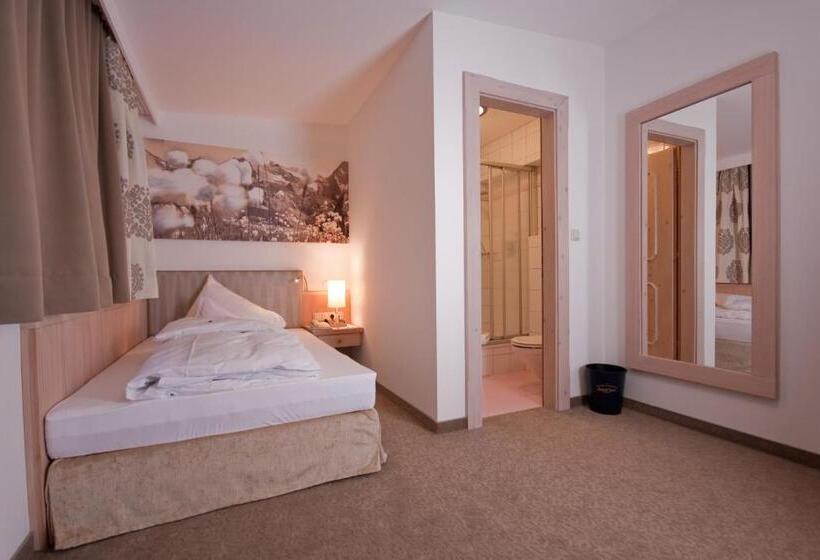 חדר סטנדרט יחיד, Olympia Relax Hotel Leonhard Stock