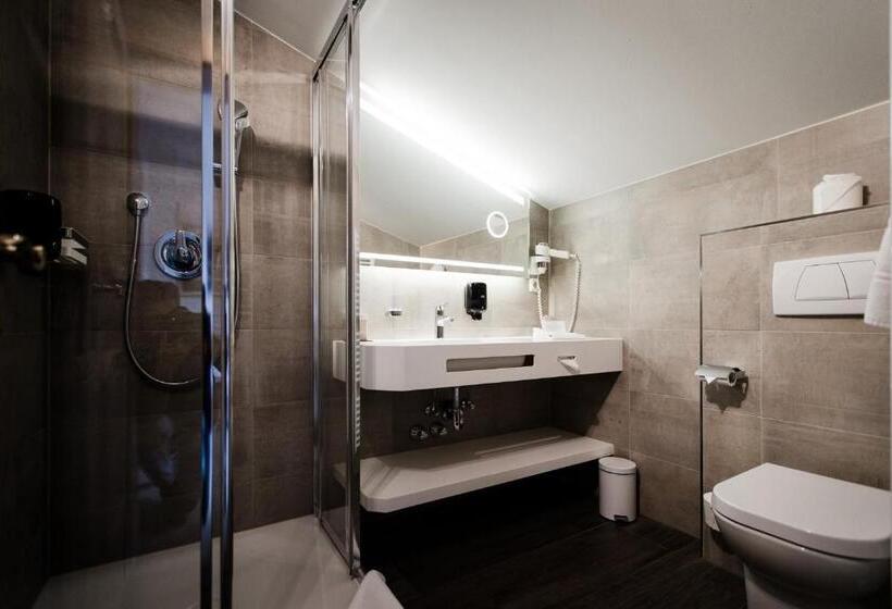 标准单人间, Olympia Relax Hotel Leonhard Stock