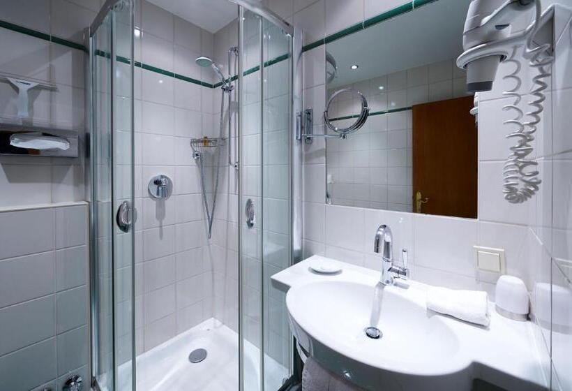 اتاق استاندارد یک نفره, Gasthof Brandstätter