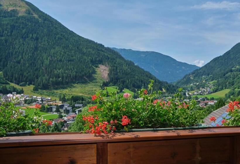 バルコニー付きスタンダードルーム, Landhaus Hinteregger