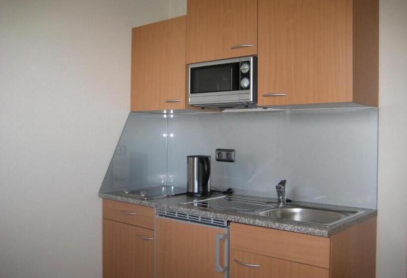 إستديو قياسى مزود بشرفة, Pension Kreuzinger, 5310 Tiefgraben