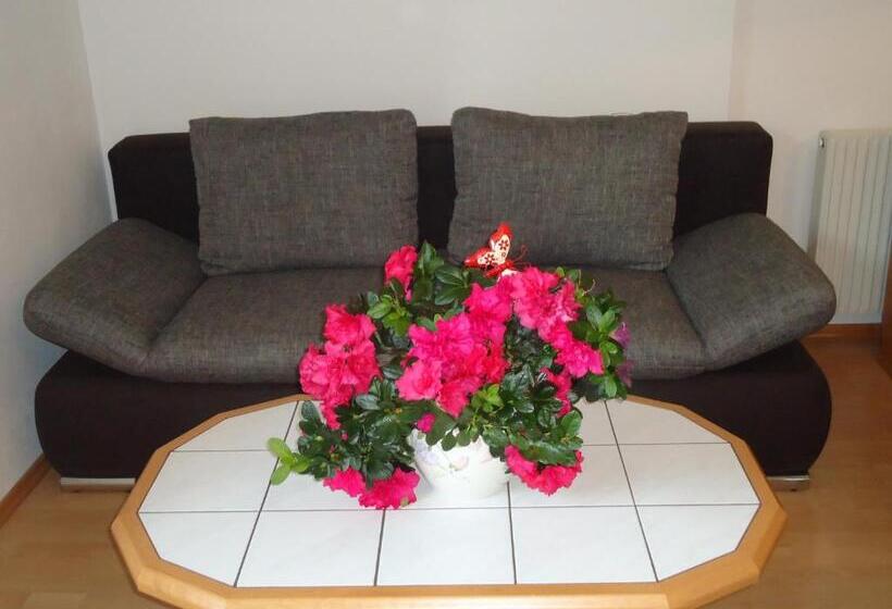 شقة غرفة واحدة, Pension Wald