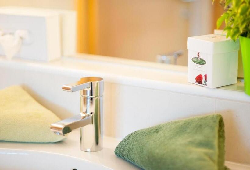 스탠다드 발코니 룸, Bürglstein