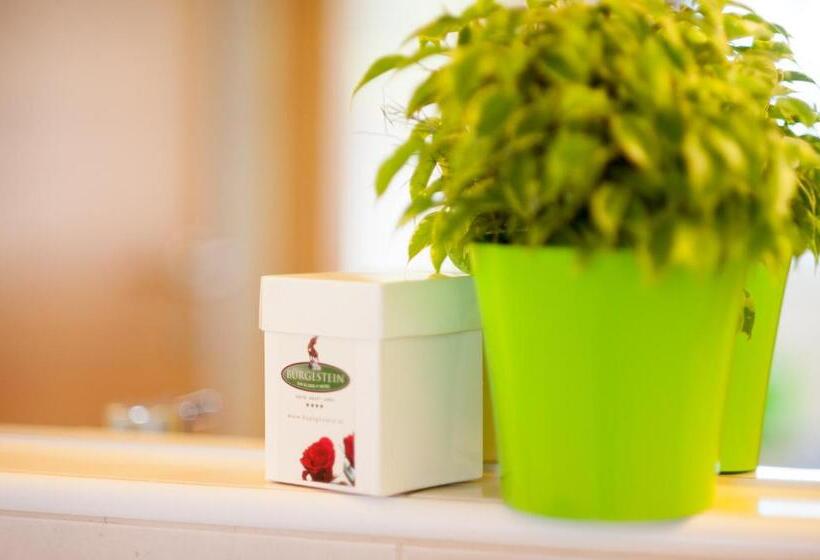 스탠다드 싱글 룸, Bürglstein