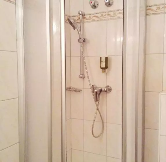 Standard Yhden Hengen Huone, Grünes Türl