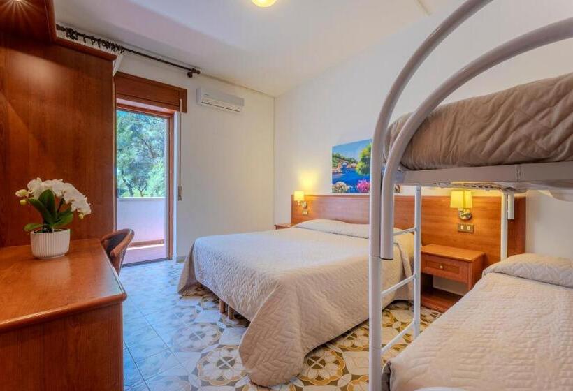 غرفة قياسية رباعية, Paglianza