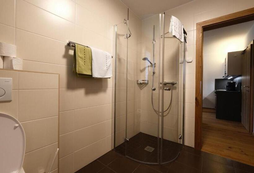 إستوديو قياسى, Seehotel & Seeapartments Kärntnerhof  Direkt Am See!