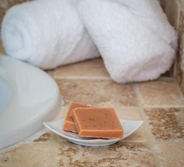 Номер Стандарт, Restaurant Le Centenaire