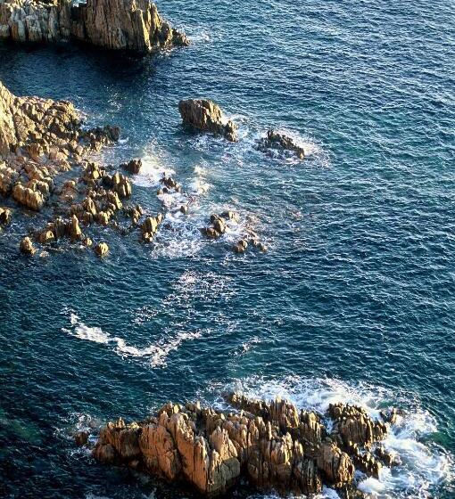 غرفة قياسية ثلاثية, Paola