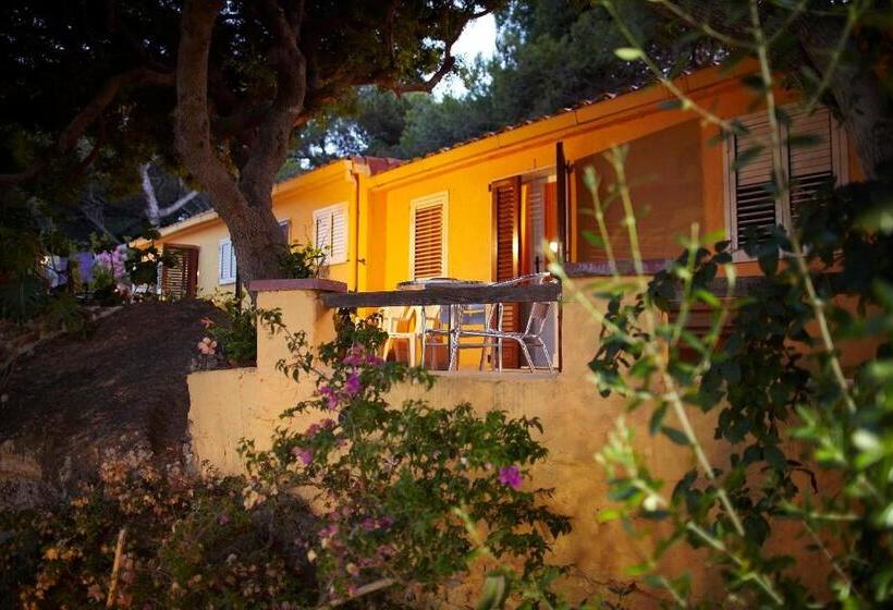 غرفة قياسية رباعية, Paola