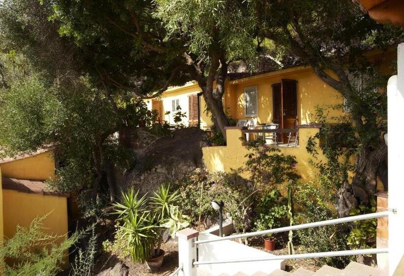 غرفة قياسية رباعية, Paola