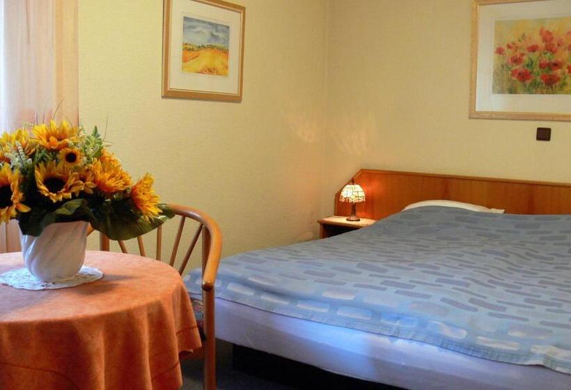 Номер Стандарт, Quellenhof