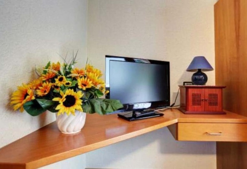 Номер Стандарт, Quellenhof