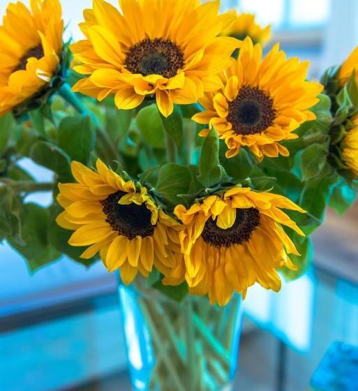 스탠다드 싱글 룸, Schindlerhof