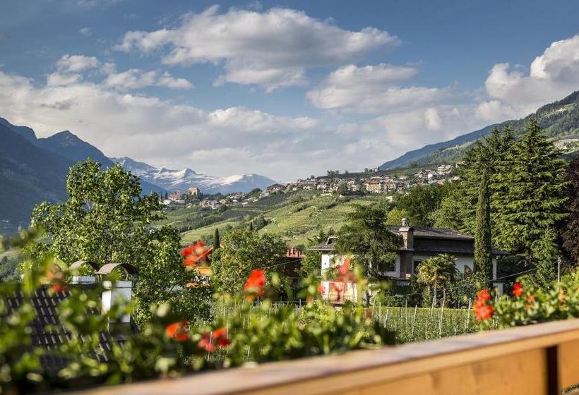 标准间带阳台, Sonnenburg