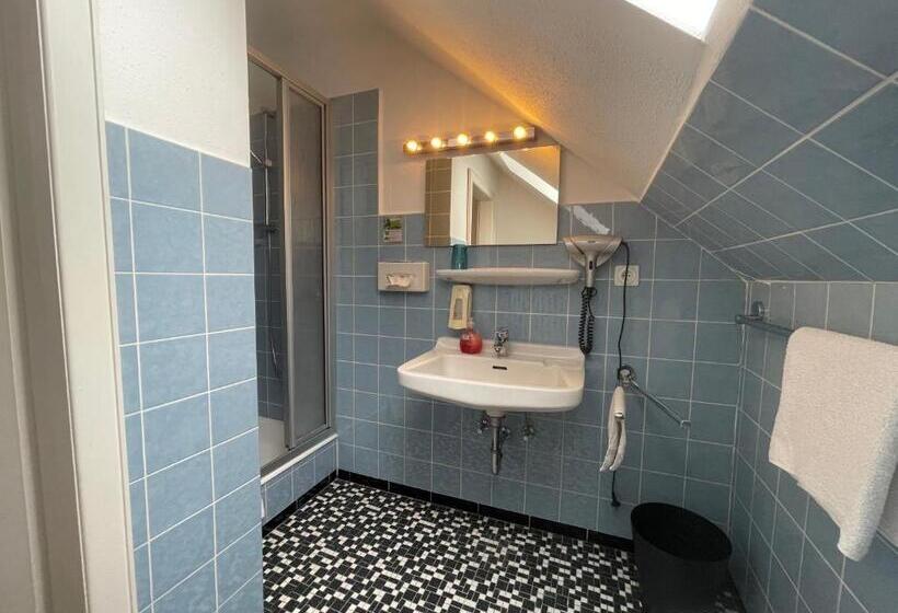 Номер Стандарт Индивидуальный, Ds Hotel Bad Bentheim